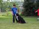 Flynn working with Jovin on his obedience…good dog!